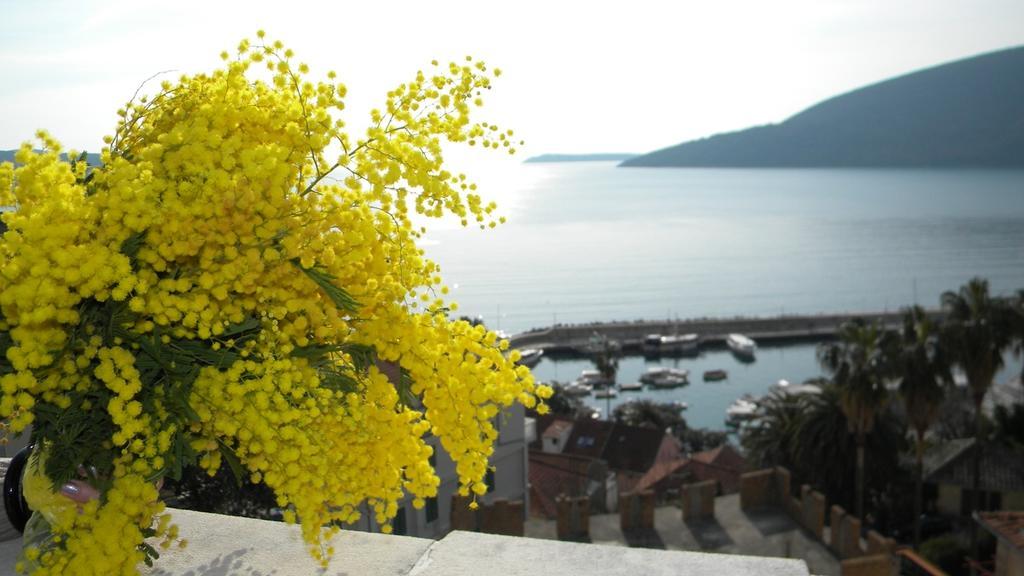 Apatments Stanojlovic Djenovic Daire Herceg Novi Dış mekan fotoğraf