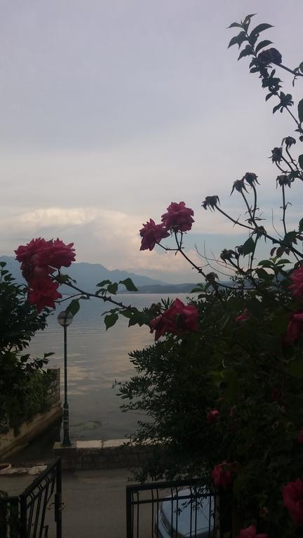 Apatments Stanojlovic Djenovic Daire Herceg Novi Dış mekan fotoğraf