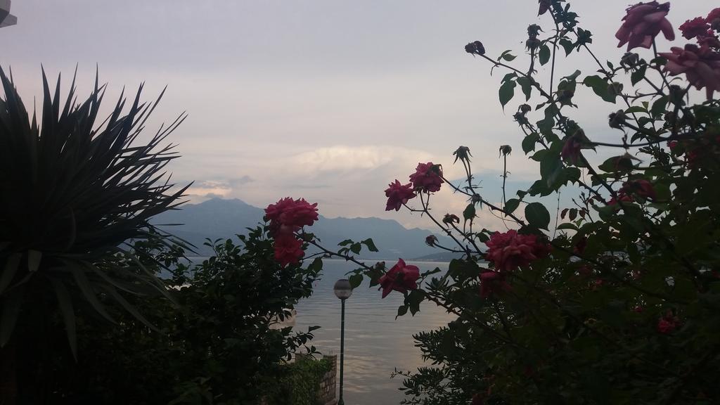 Apatments Stanojlovic Djenovic Daire Herceg Novi Dış mekan fotoğraf